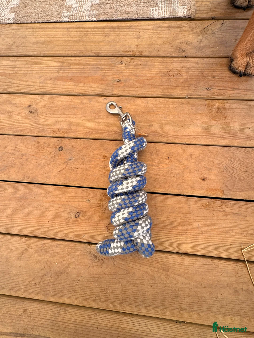 Övrig Hästutrustning hästutrustning till salu: Blandade häst prylar  i Alingsås - Annons 6