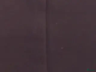 hästar A-B ponny sökes! - Annons 5