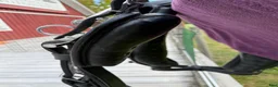 Körselar körning till salu: Loksele från Tärnsjö - Annons 7