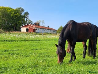 stallplats Stall Berga gård 17 km från Brommaplan i Skå - Annons 22