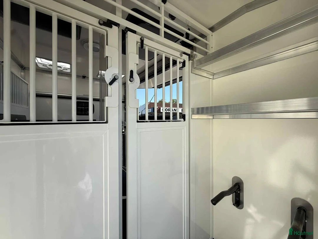 Hästlastbilar  fordon & transport till salu: PARAGAN EXCELSION 5XL STUTERI i Köping - Annons 16