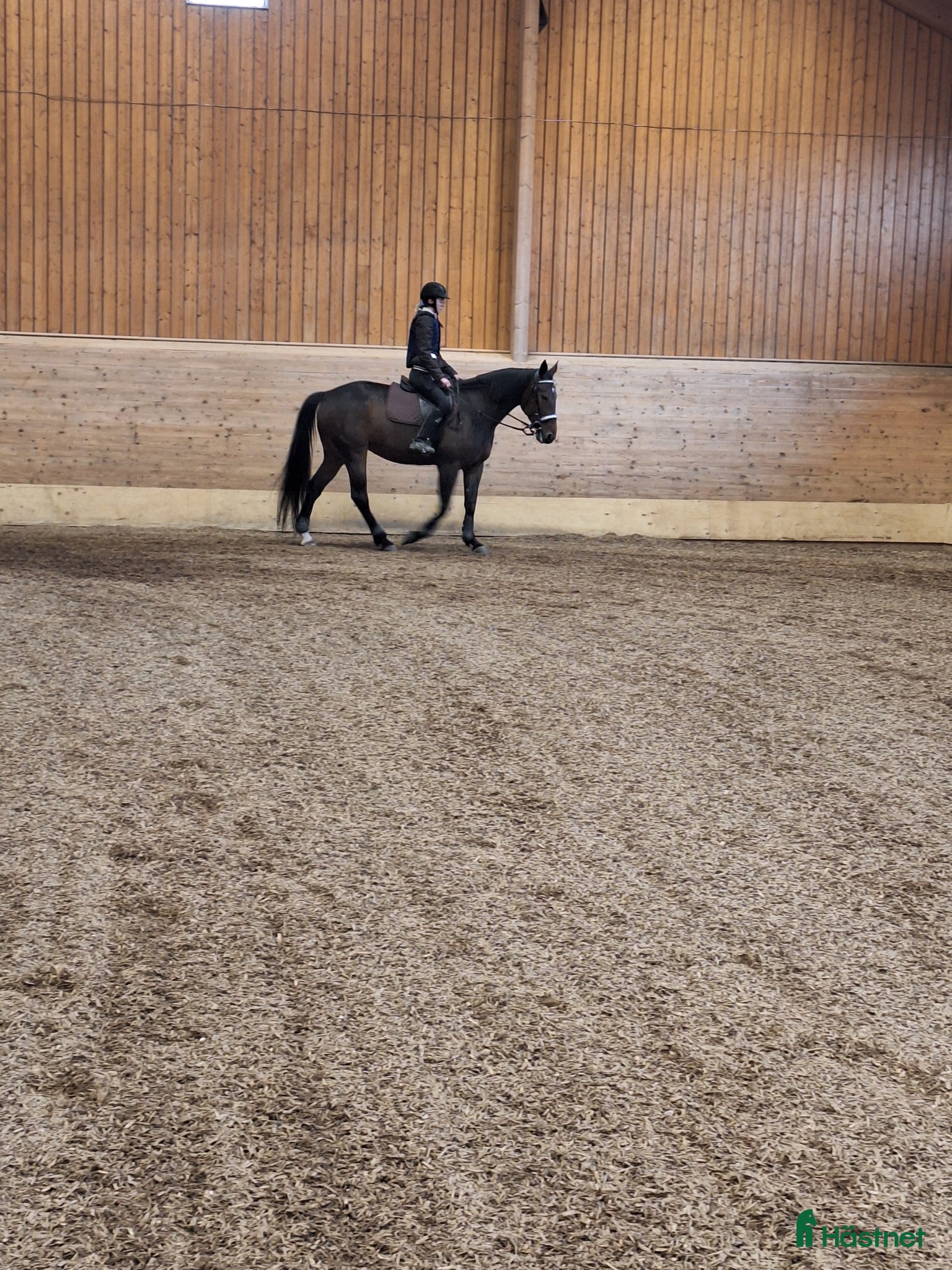  hästar Livskamrat sökes🥰 - Annons 4