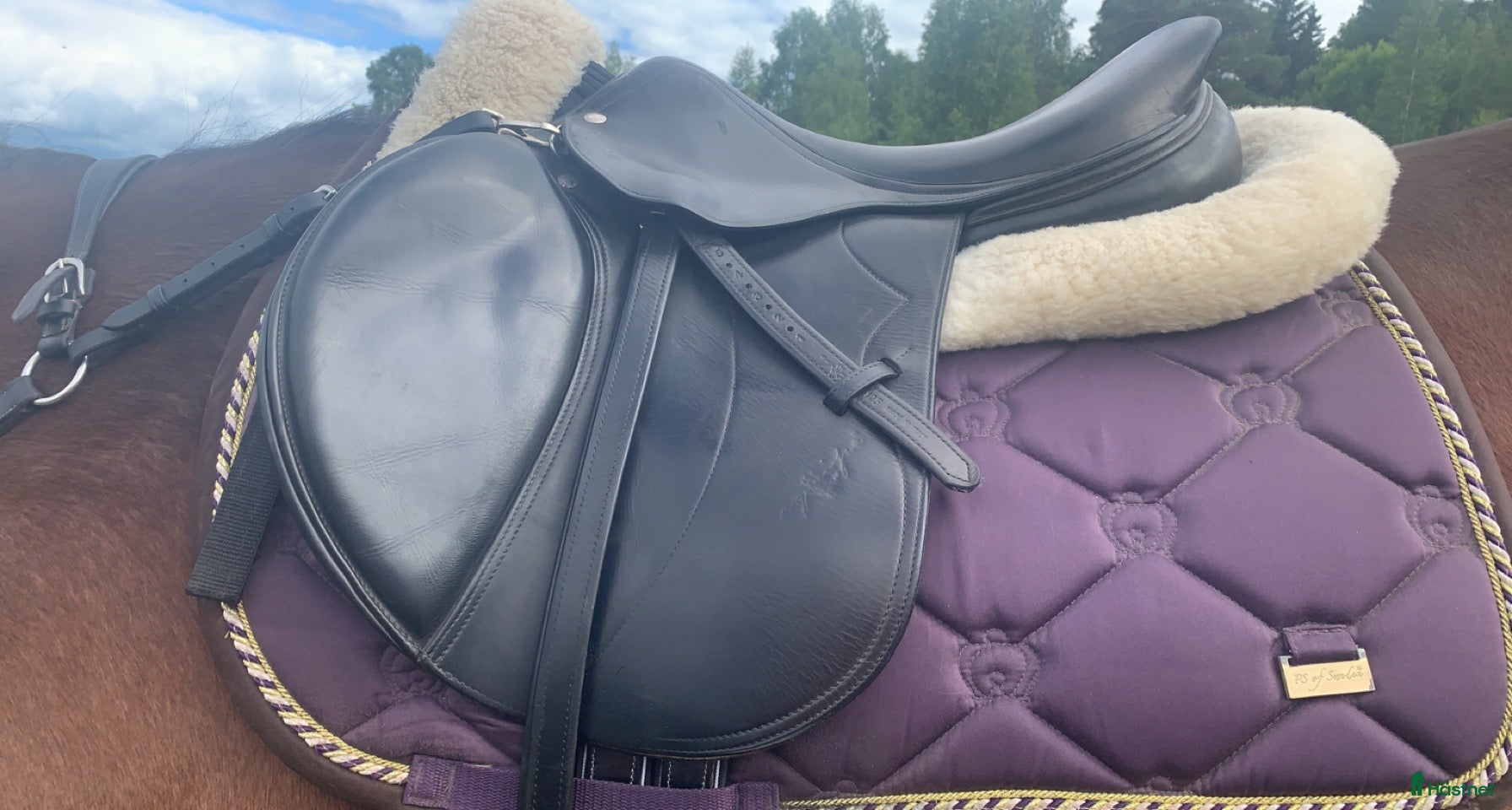 Sadlar hästutrustning Svart equipe oxer i Forshaga - Annons 2