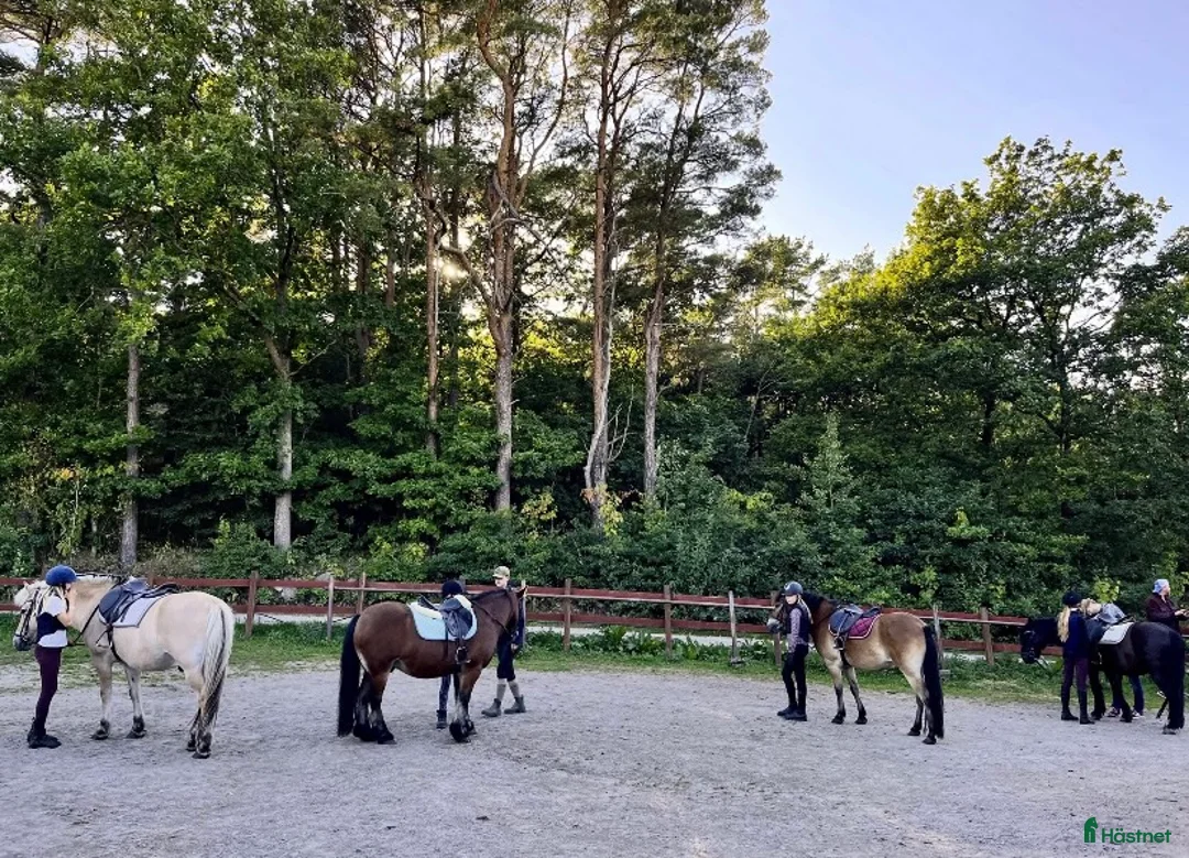  stallplats finnes: Lediga boxplatser Skaftö Ridklubb  i Fiskebäckskil - Annons 2