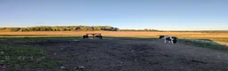  stallplats finnes: Lösdrift med fullservice - Annons 2