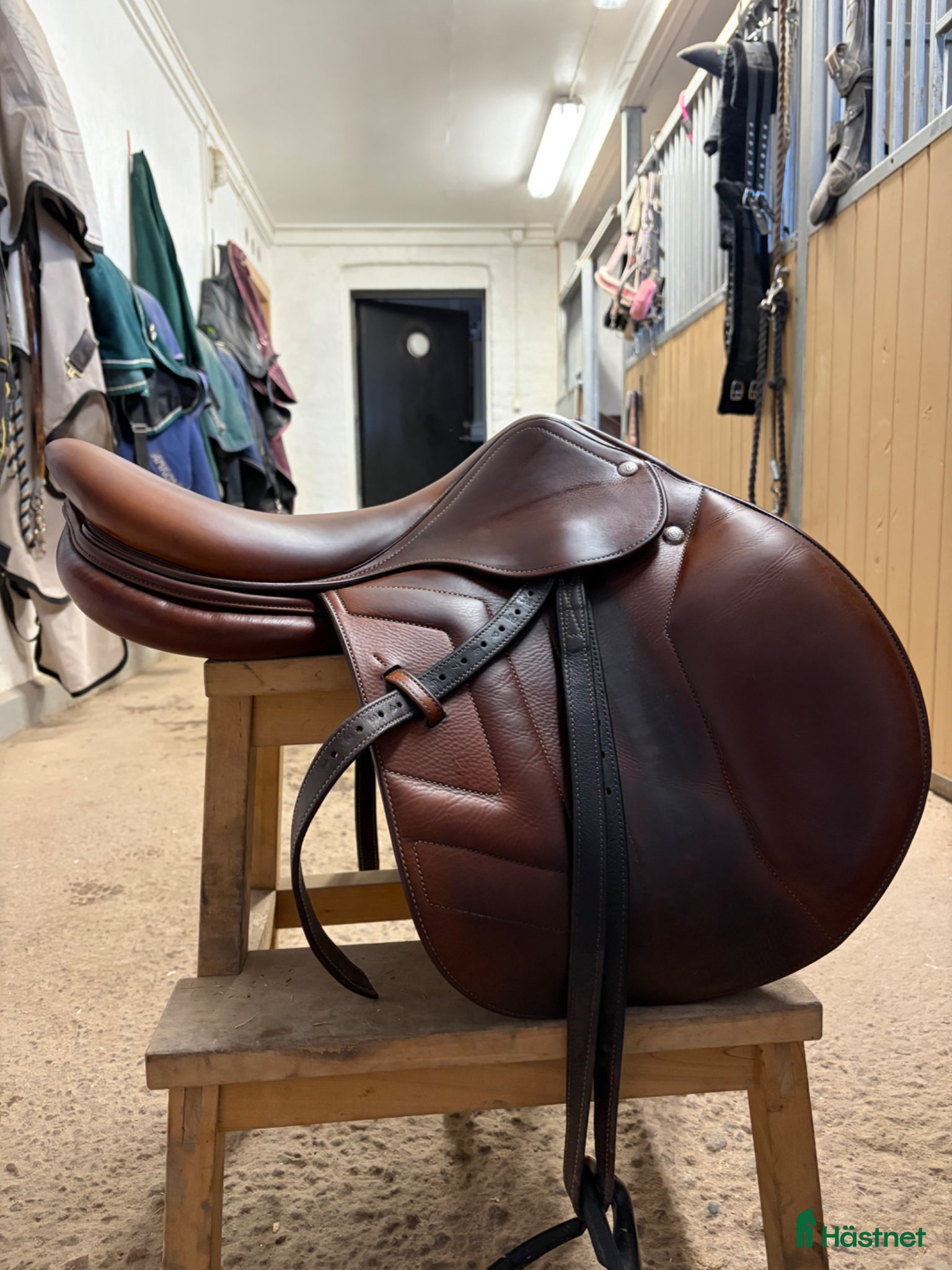 Sadlar hästutrustning Renaissance hoppsadel 17/33 - Annons 2