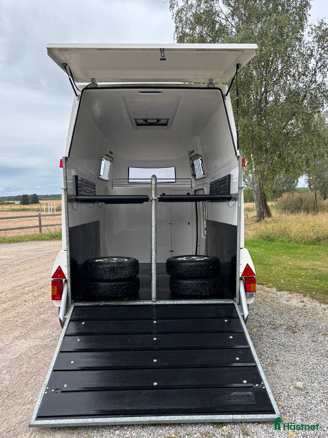 Hästtransporter  fordon & transport till salu: Mustang Elit-2019 hästtransport  i Västerås - Annons 7