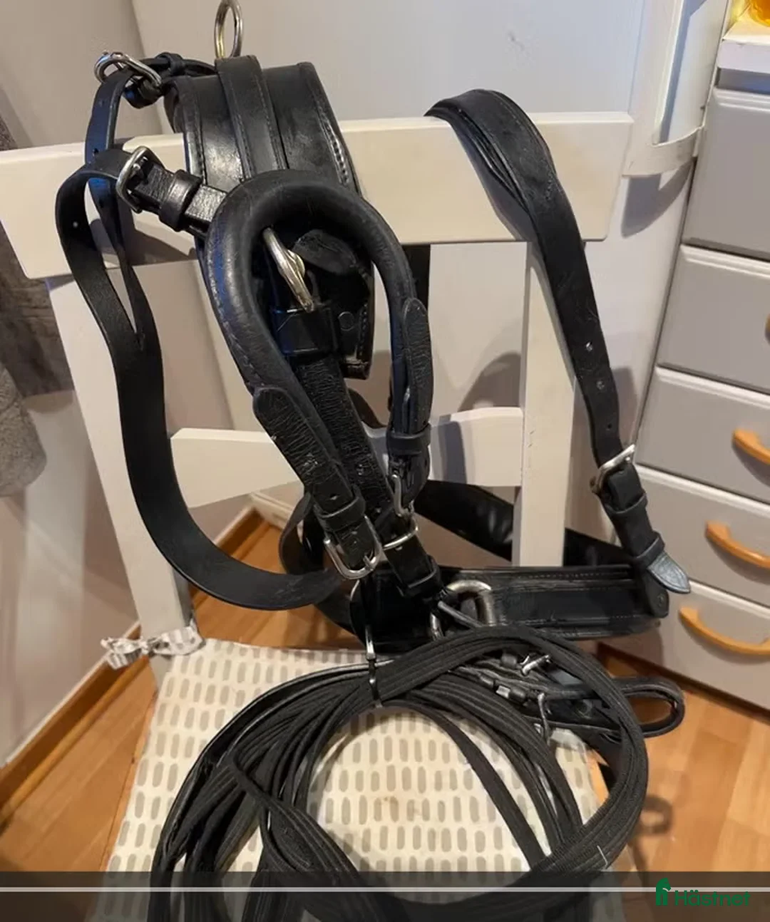 Körselar körning till salu: Bröstsele m svanskappa, tömmar o frakt Shettis - Annons 2