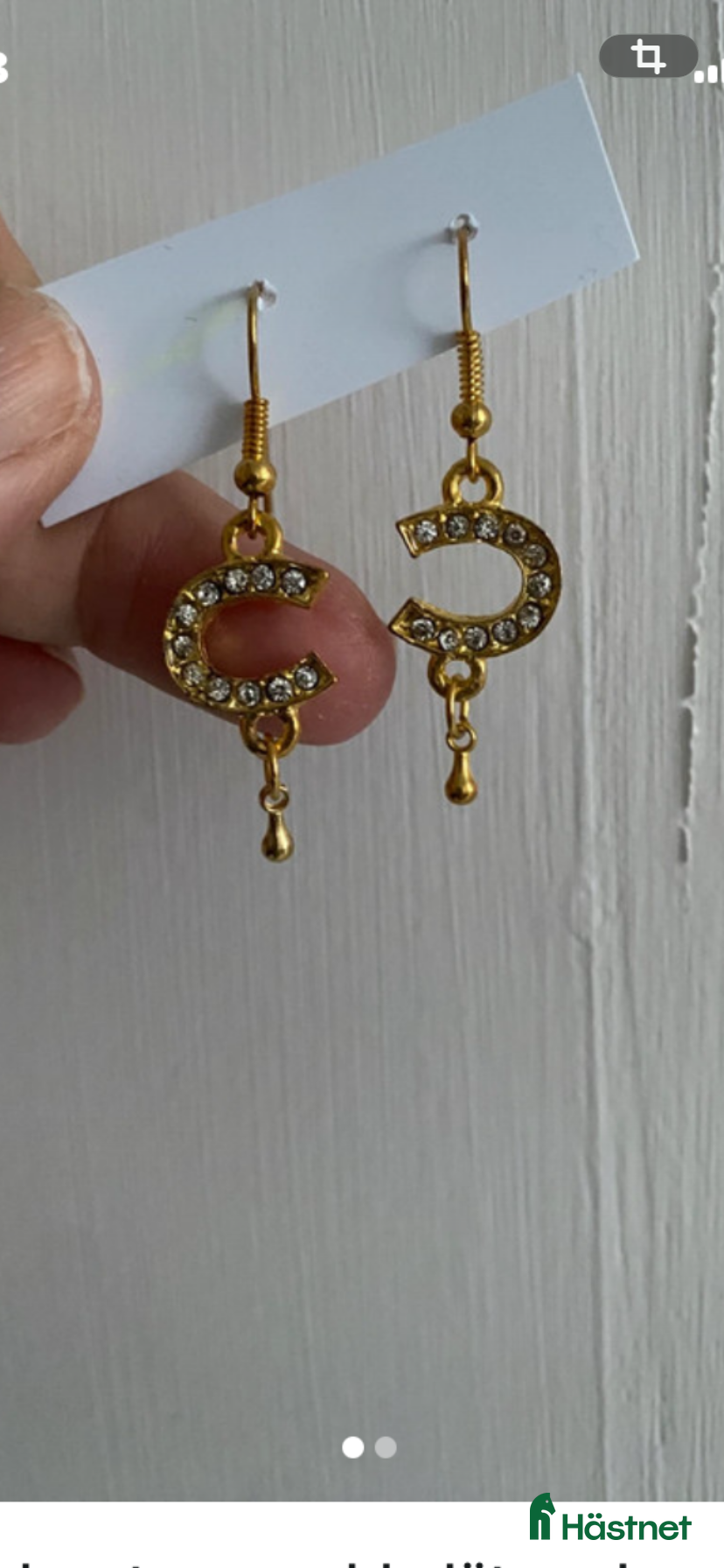 Övrig Ryttarutrustning ryttarutrustning till salu: Fina guldiga örhängen Hästsko i Älmhult - Annons 20