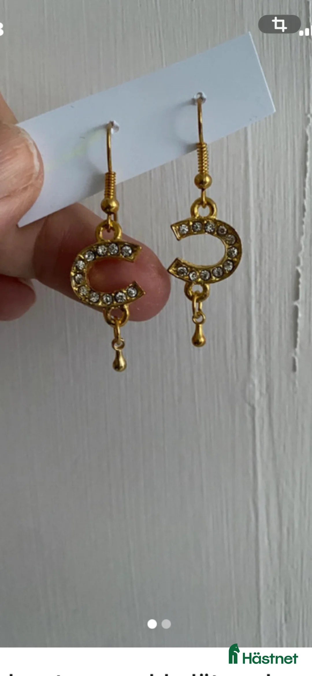 Övrig Ryttarutrustning ryttarutrustning till salu: Fina guldiga örhängen Hästsko i Älmhult - Annons 1