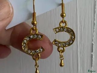 Övrig Ryttarutrustning ryttarutrustning till salu: Fina guldiga örhängen Hästsko i Älmhult - Annons 20