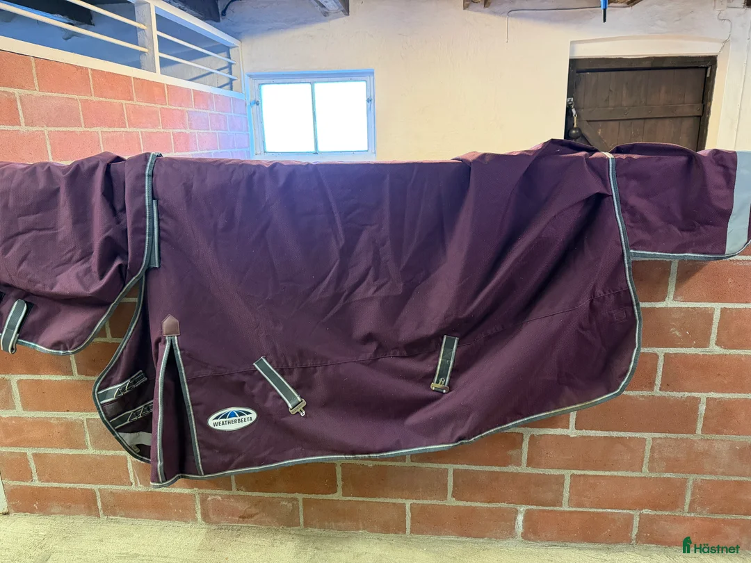 Täcken hästutrustning till salu: Vintettäcke, halstäcke, utetäcke, weatherbeeta - Annons 1