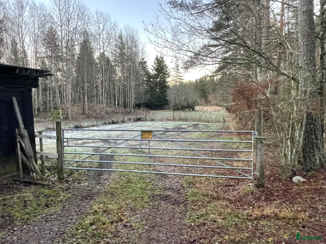  stallplats finnes: Lösdrift för 2 st. islandshästar  i Uppsala - Annons 2