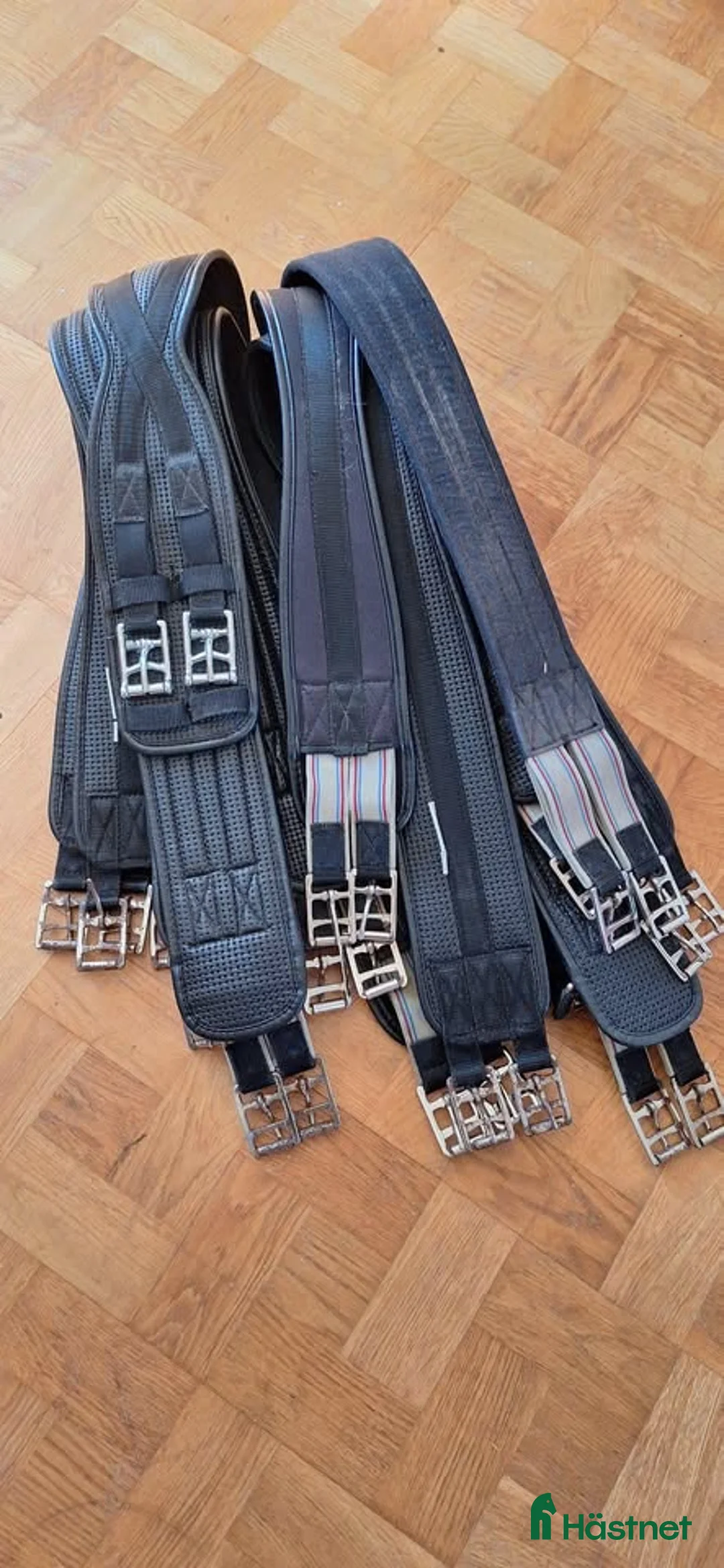 Sadeltillbehör hästutrustning till salu: Neopren sadelgjordar - Annons 1