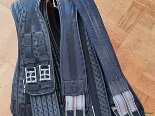 Sadeltillbehör hästutrustning Neopren sadelgjordar - Annons 5