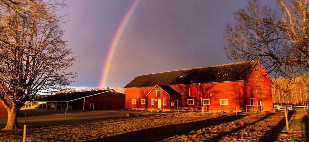  stallplats finnes: Stallplats finnes, 10min från Örebro C i Örebro - Annons 1
