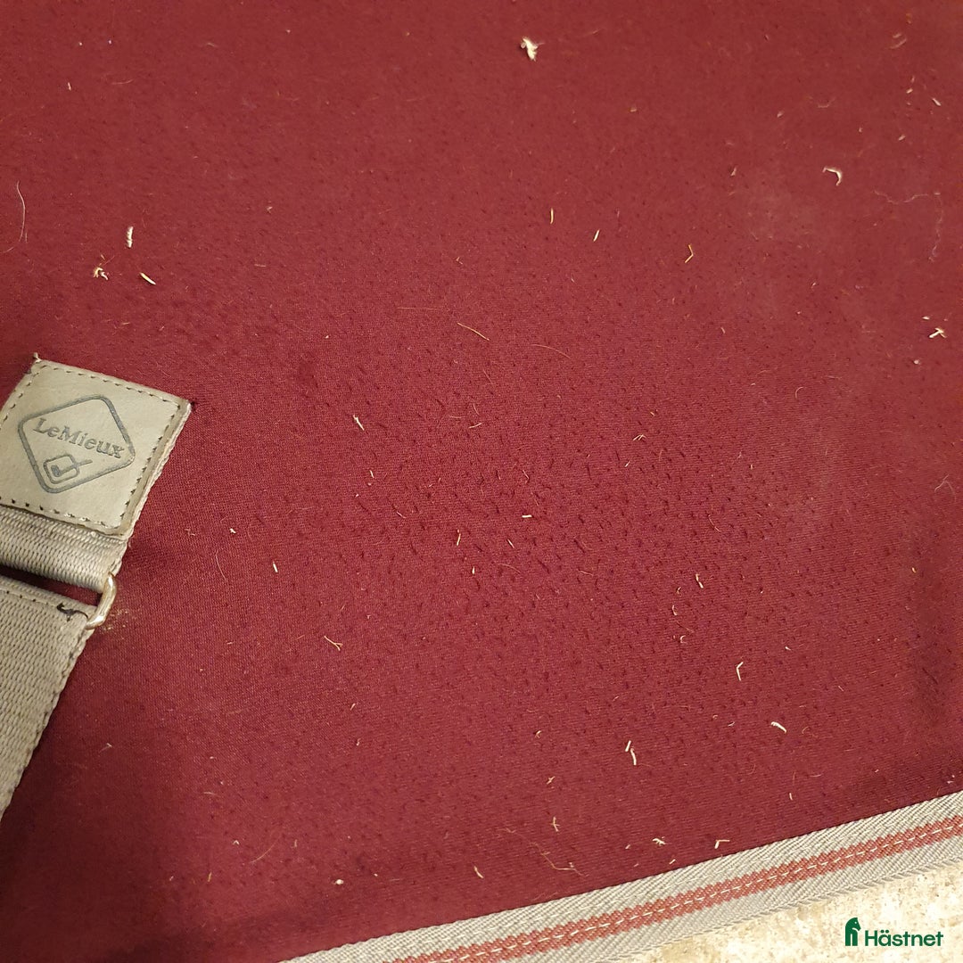 Täcken hästutrustning till salu: Lemieux Arika Jerseyfleece 135-140 i Tranås - Annons 10