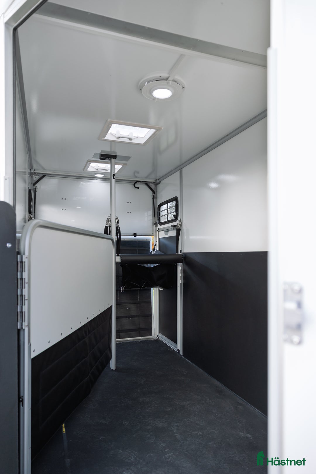 Hästtransporter  fordon & transport till salu: Lanseringskampanj Umesläp B50 2026 i Bygdsiljum - Annons 7