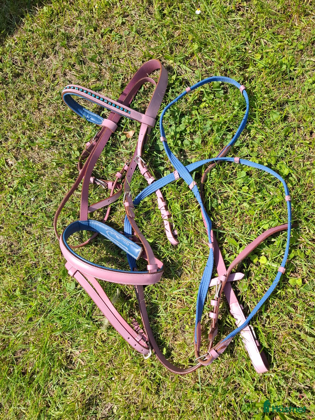 Träns hästutrustning till salu: Superrgulligt Rosa träns m bling i Läckeby - Annons 3