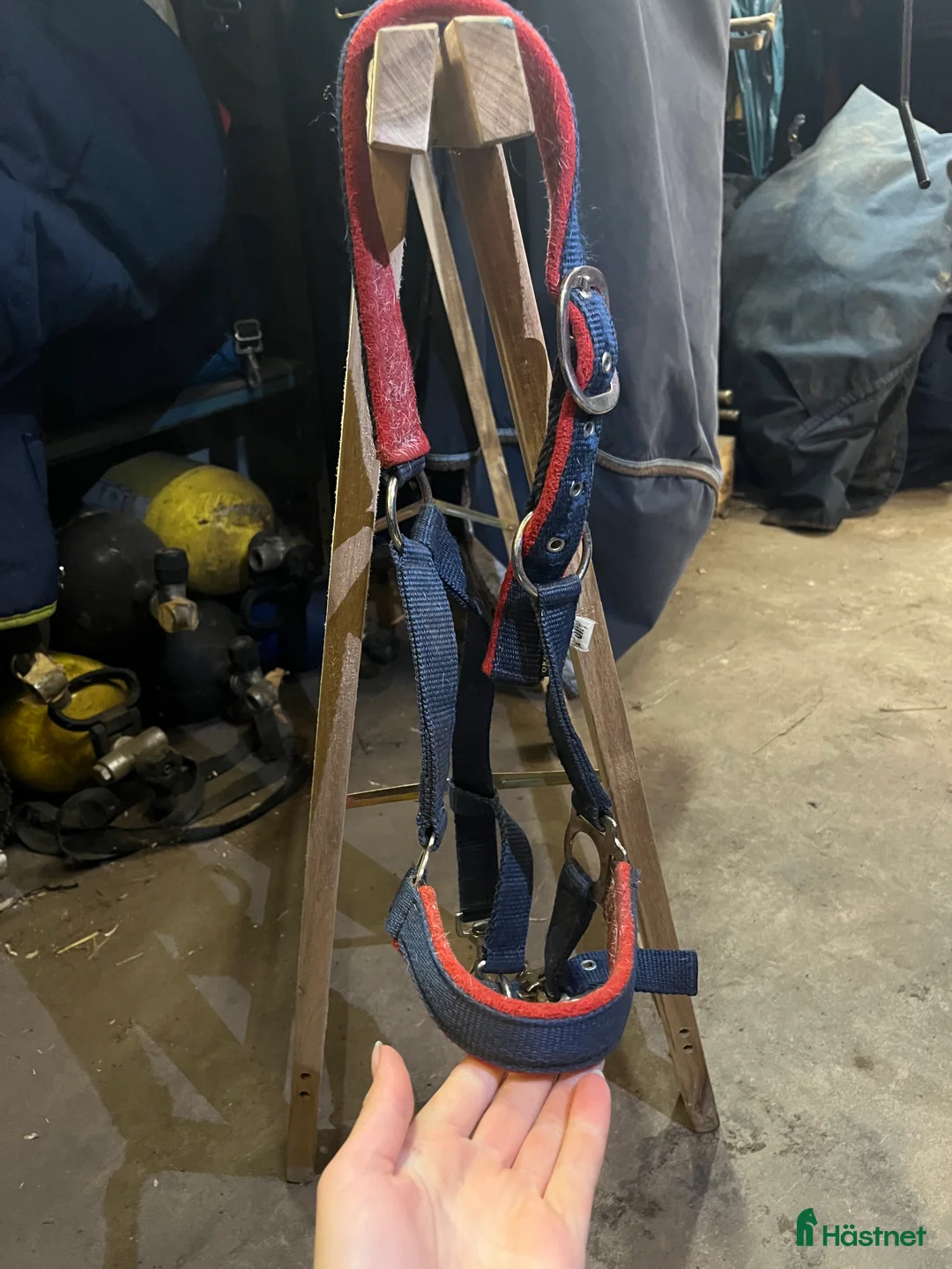 Övrig utrustning övrig utrustning till salu: Snygg grimma  i Norrköping - Annons 3