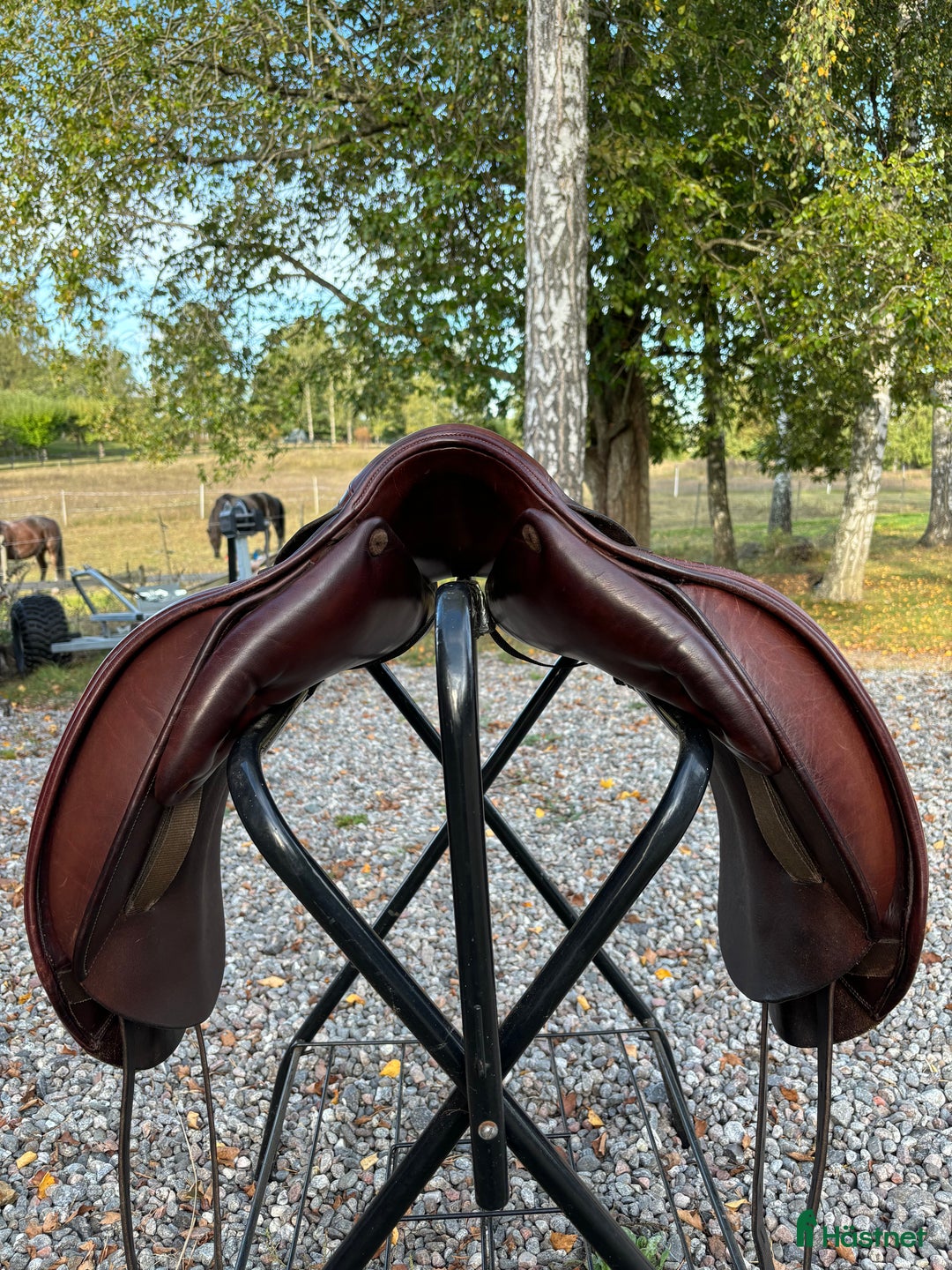 Sadlar hästutrustning till salu: Jaguar dressyr i Grödinge - Annons 5