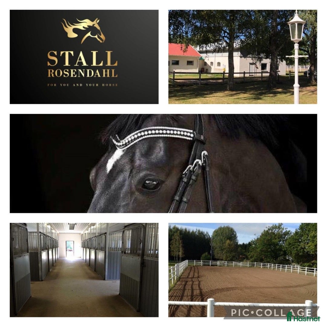  stallplats finnes: Stallplats Stadsnära - Linköping Ekängen Tallboda i Linköping - Annons 1