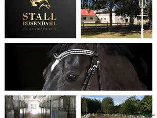 stallplats Stallplats Stadsnära - Linköping Ekängen Tallboda - Annons 10