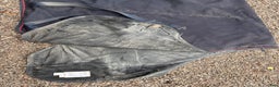Täcken hästutrustning till salu: Amigo XL Lite i Sollerön - Annons 2