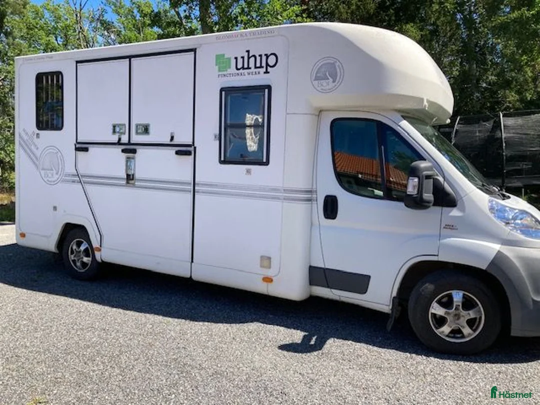 Hästlastbilar  fordon & transport till salu: Fullutrustad lågmilad B-kortslastbil med bodel - Annons 1