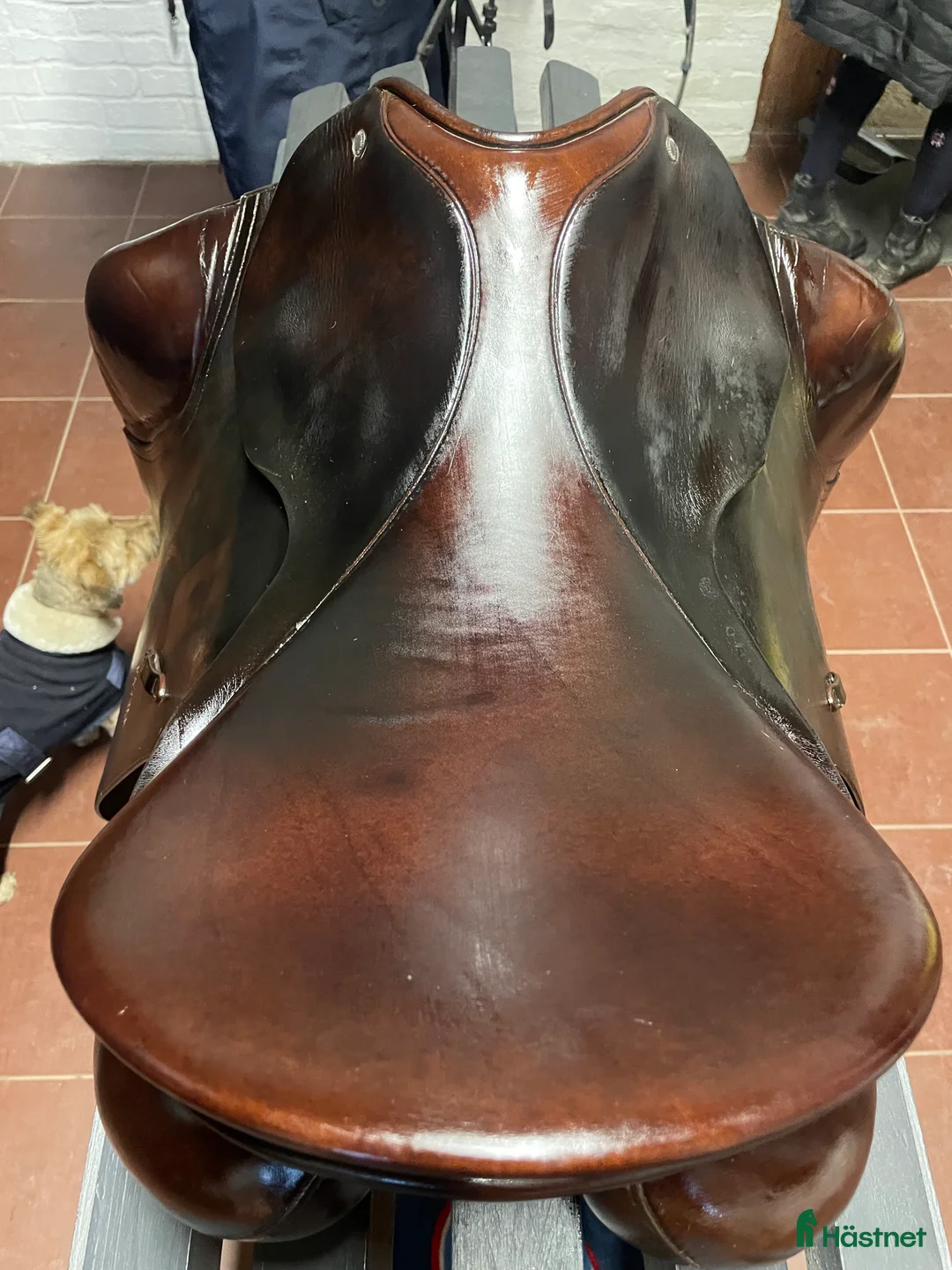 Sadlar hästutrustning till salu: Passier Hubertus Schmidt dressyrsadel i Lund - Annons 4