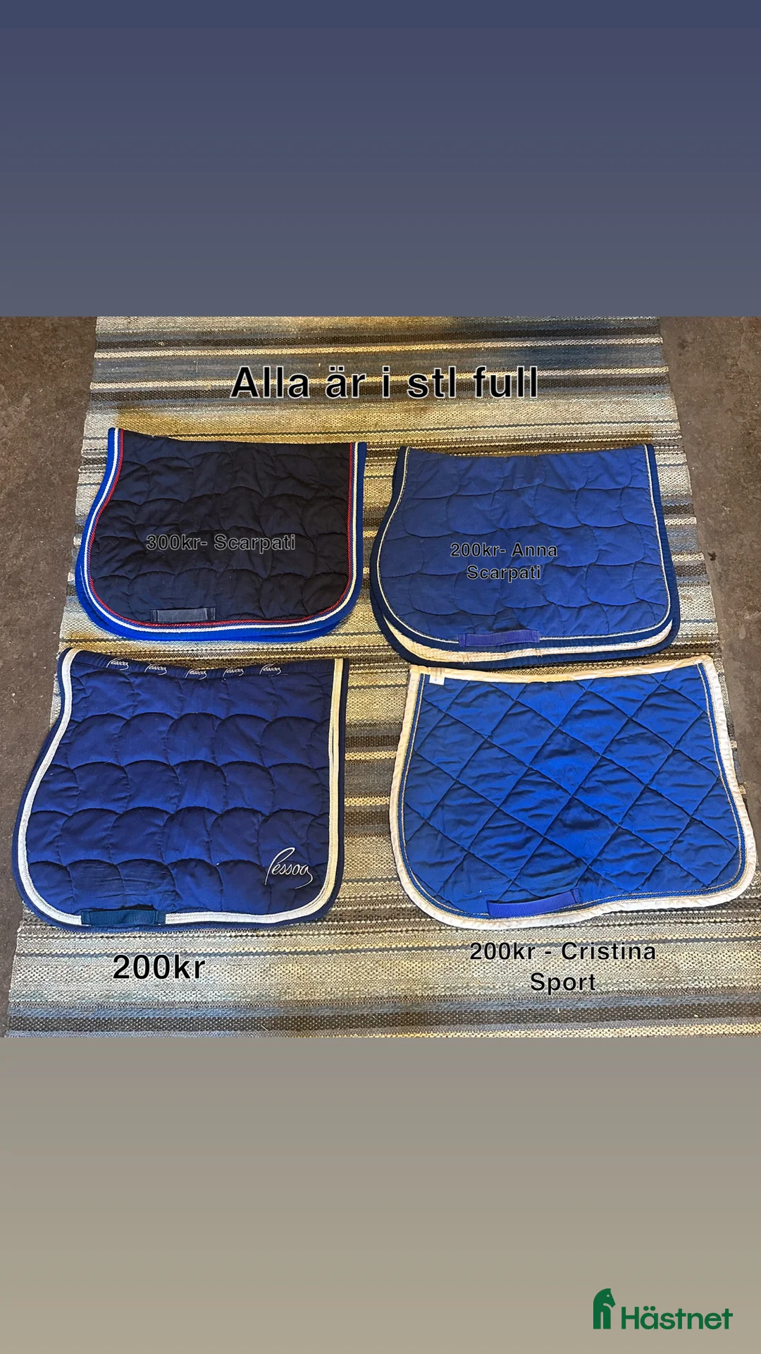 Övrig Hästutrustning hästutrustning till salu: Lite blandade saker - Annons 1