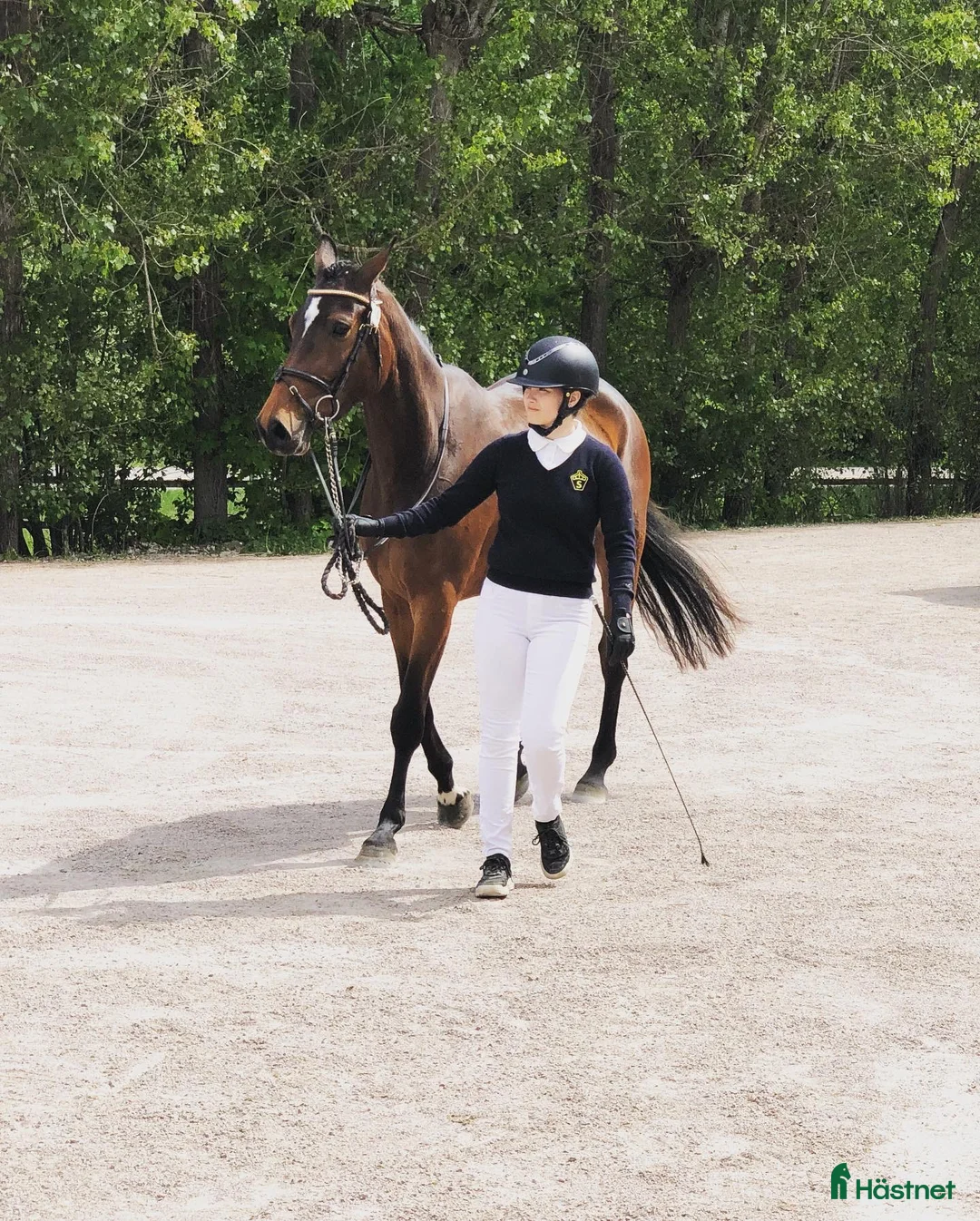  hästjobb finnes: Hästskötare  - Annons 3