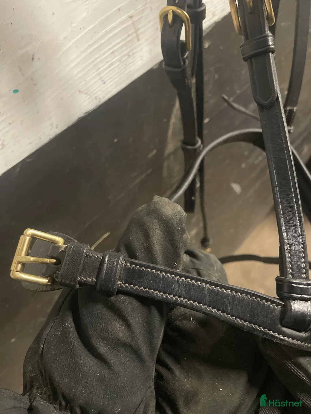 Träns hästutrustning till salu: Equalityline träns - Annons 7