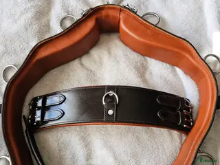 Övrig Hästutrustning hästutrustning Tömkörningsgjord, töm och däckelunderlägg - Annons 11