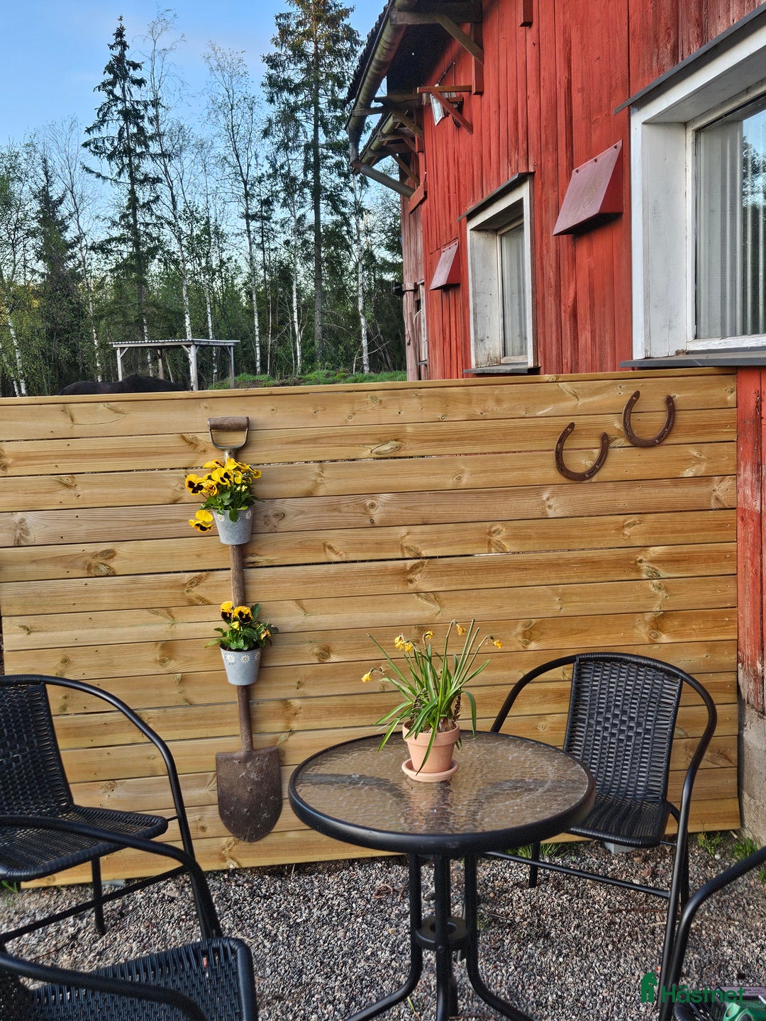  stallplats finnes: Lugnt och mysigt stall i Sandared i Sandared - Annons 2