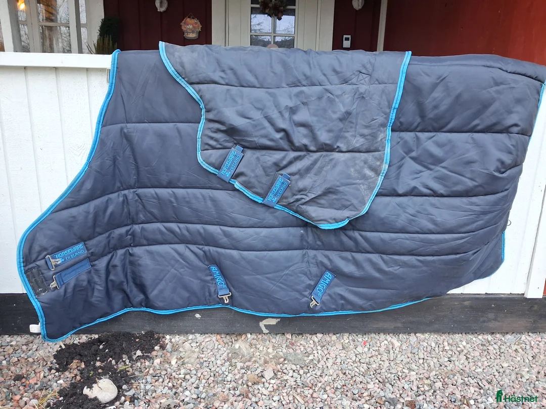 Täcken hästutrustning till salu: Amigo stalltäcke 155 i Örbyhus - Annons 1