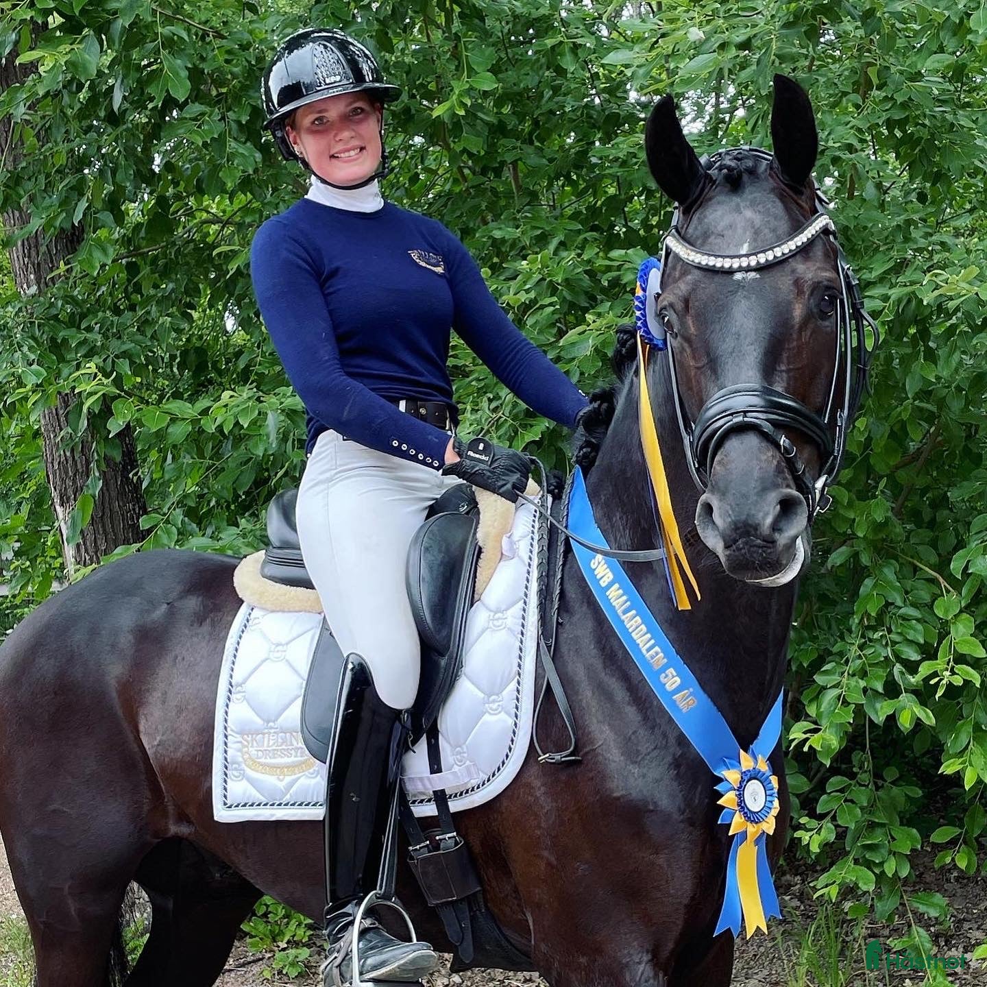  hästservice Dressyrryttare finnes norr om Växjö  - Annons 10