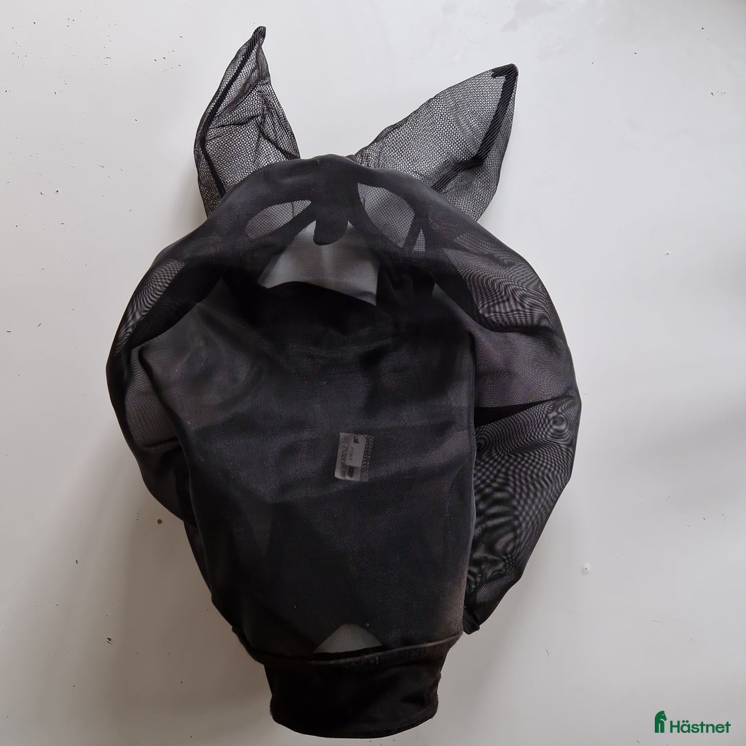 Övrig Hästutrustning hästutrustning till salu: Hästutrusning i Motala - Annons 8