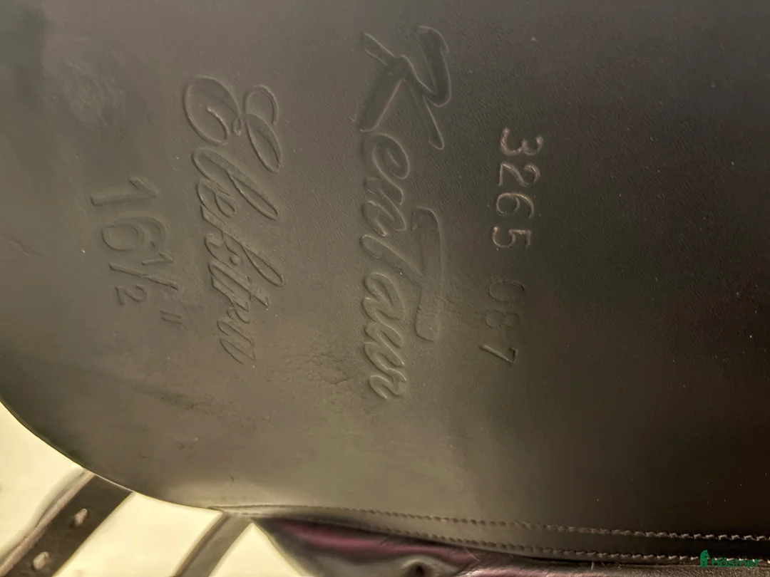 Sadlar hästutrustning till salu: Dressyrsadel Kentaur electra - Annons 7