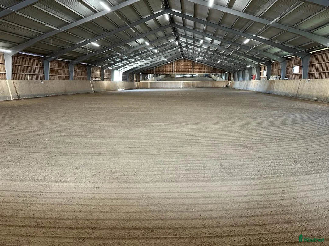  stallplats finnes: Ledig boxplats på Almare Stäket i Kungsängen - Annons 7