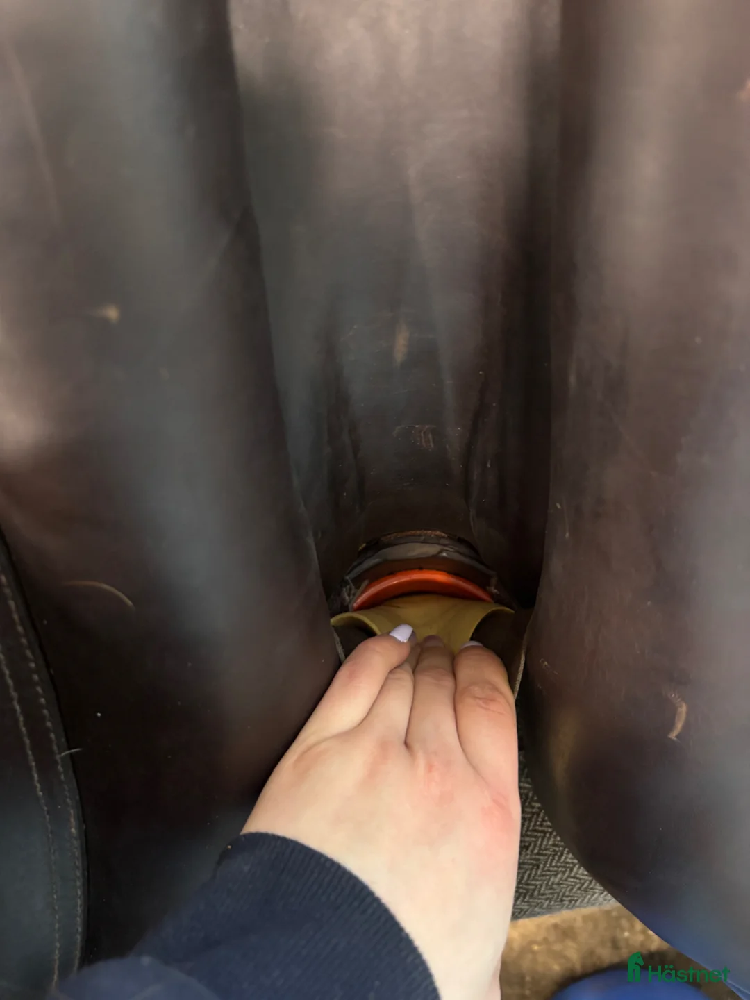 Sadlar hästutrustning till salu: Hoppsadel Pessoa - Annons 5