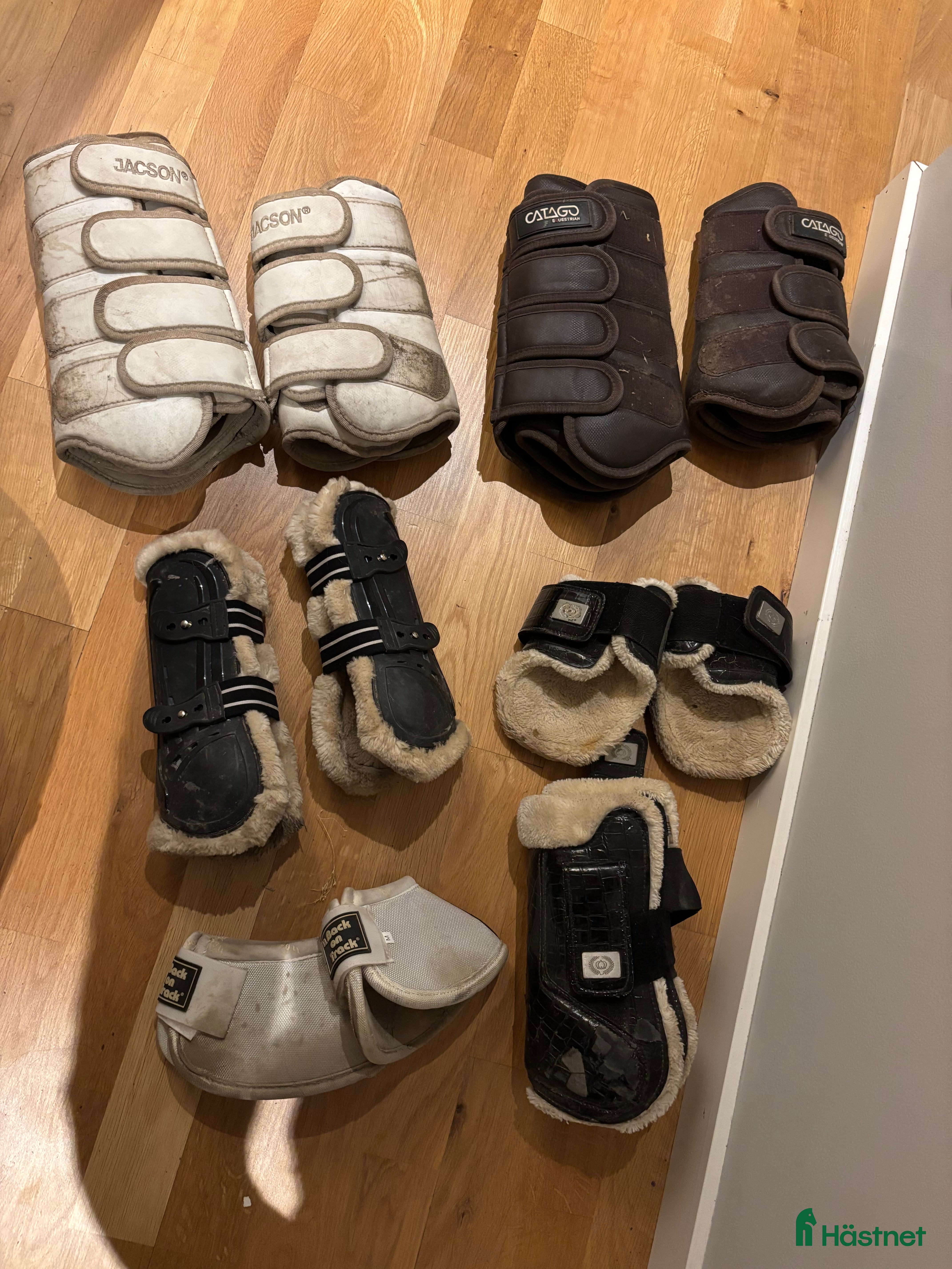 Benskydd hästutrustning till salu: Benskydd  i Västerhaninge - Annons 3