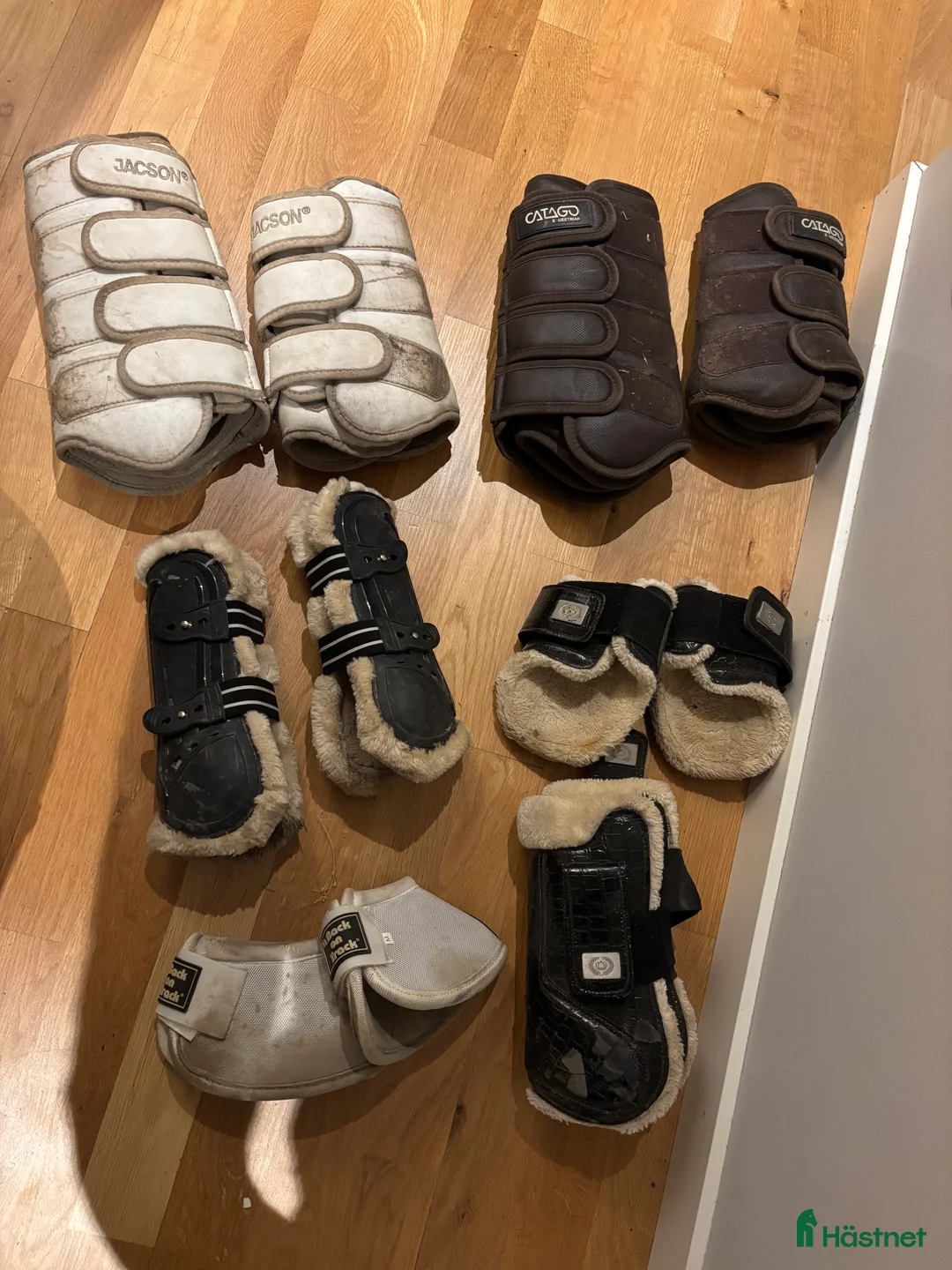 Benskydd hästutrustning till salu: Benskydd  i Västerhaninge - Annons 1