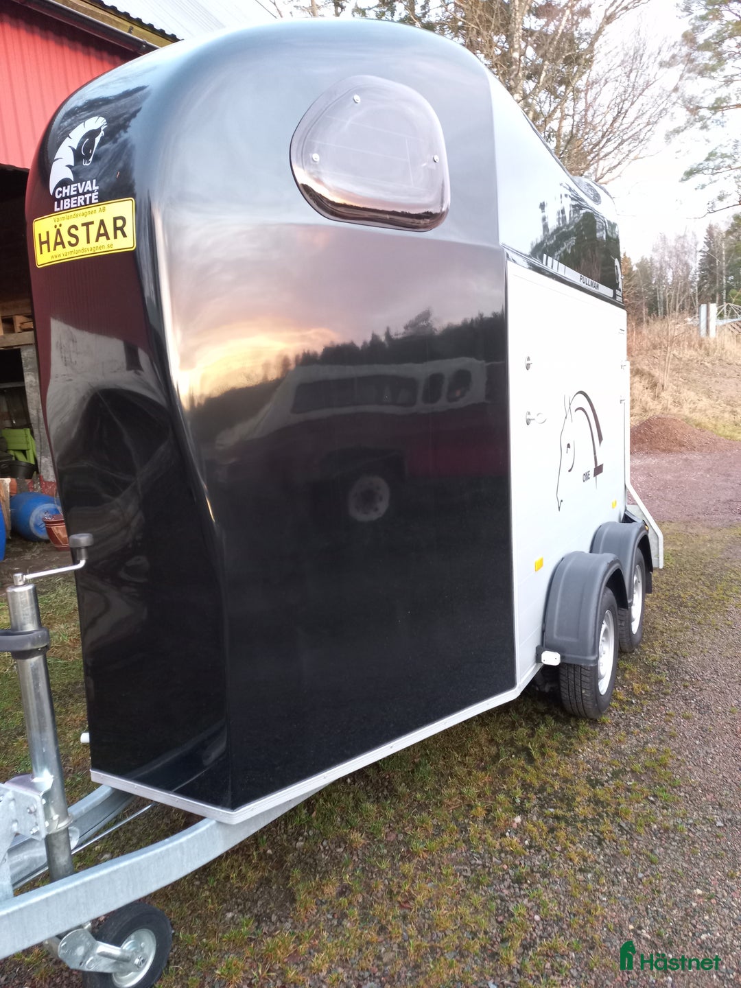 Hästtransporter  fordon & transport till salu: Cheval Liberte säljes.  i Tösse - Annons 4