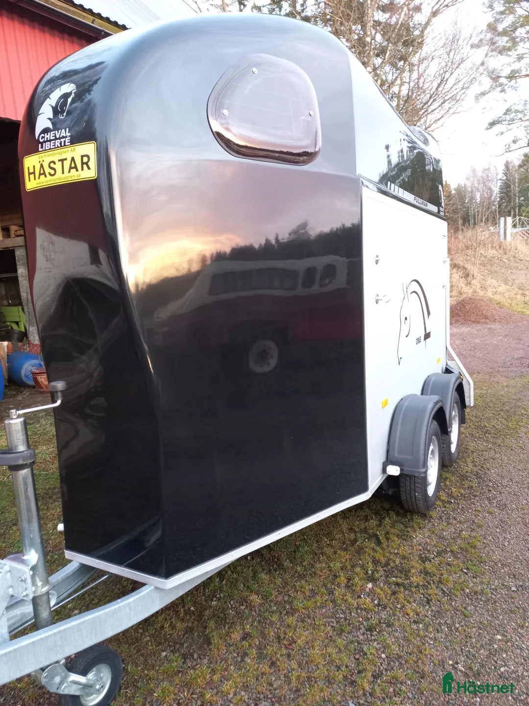 Hästtransporter  fordon & transport till salu: Cheval Liberte säljes.  i Tösse - Annons 4