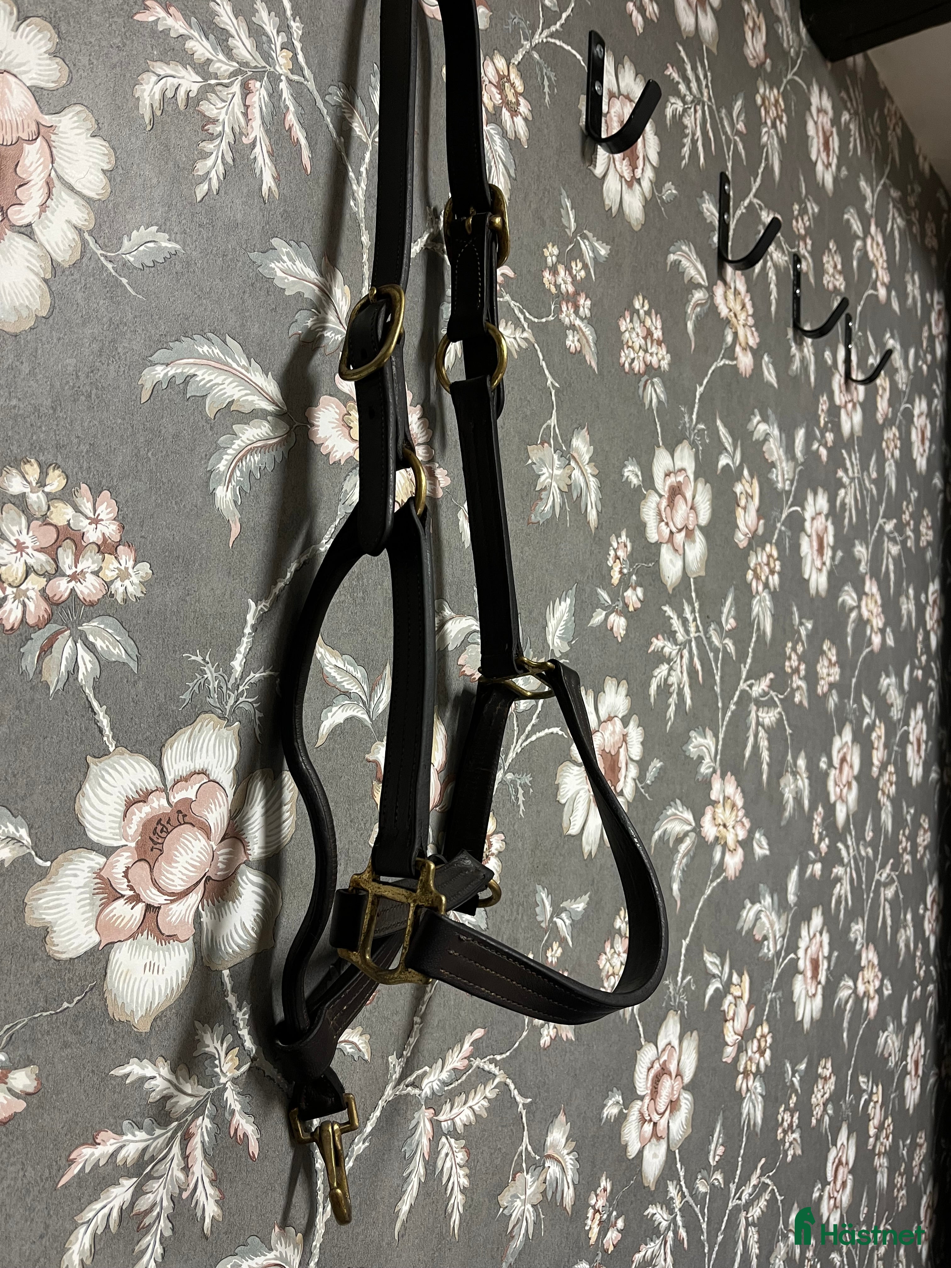 Övrig Hästutrustning hästutrustning till salu: Lädergrimma brun storlek full  i Smedstorp - Annons 19