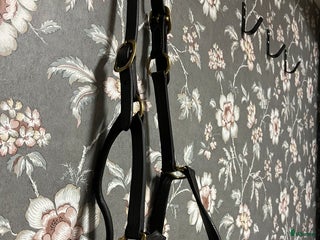 Övrig Hästutrustning hästutrustning till salu: Lädergrimma brun storlek full i Smedstorp - Annons 14