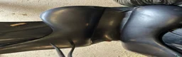 Sadlar hästutrustning till salu: CWD Deep Dressage 17,5'' i Gjerdrum - Annons 3