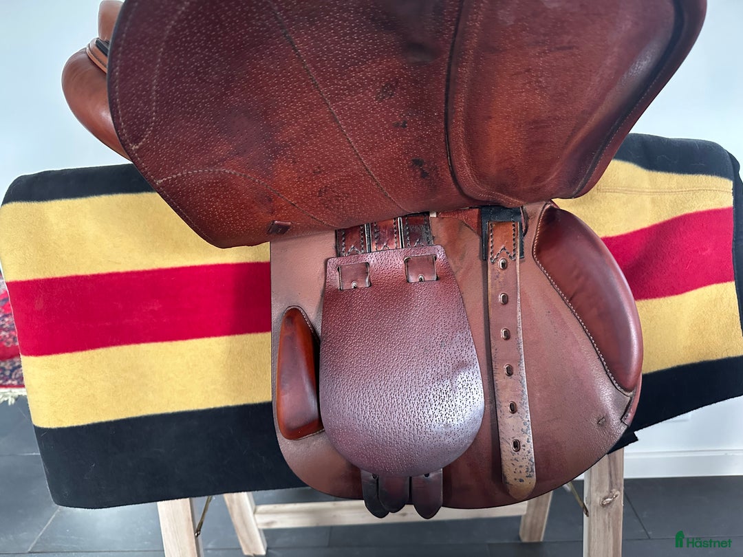 Sadlar hästutrustning till salu: Amerigo Vega Special  i Södra Sandby - Annons 7