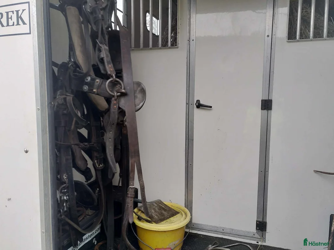 Hästlastbilar  fordon & transport till salu: Hästlastbil C1 - Annons 2